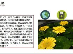 每日快乐早会20年8月4日使用12页.ppt