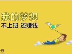中产家庭财富管理年金保险的应用33页.pptx