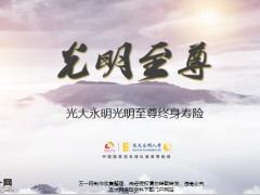 光大永明光明至尊产品理念特色责任投保规则案例演示26页.pptx