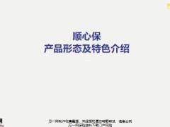 民生顺心保产品形态及特色介绍8页.pptx