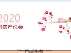 微信产说会确定会议内容多角度文案引力强17页.pptx