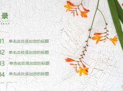 清新文艺商业汇报模板24页.pptx