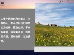 每日鸡汤励志人生若心宽一寸路可宽一丈.zip