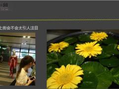 每日快乐早会20年8月12日使用12页.ppt