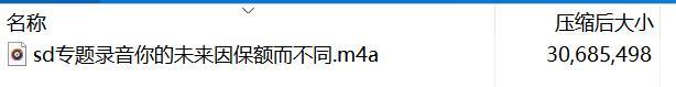 专题录音你的未来因保额而不同.rar