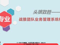 战狼团队业务管理系统概述39页.pptx