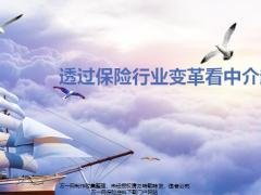 透过保险行业变革看中介趋势挑战选择51页.pptx