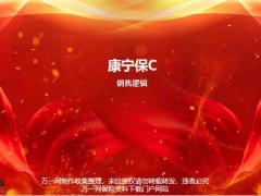 国寿康宁保C销售逻辑13页.pptx