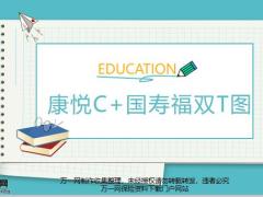 国寿康悦C国寿福双T图讲解13页.pptx
