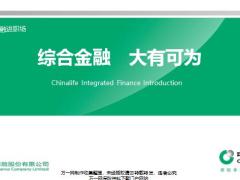 国寿综合金融开展背景整体布局价值体现职场期许43页.pptx