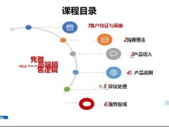 太平隽雅一生客户特征画像沟通理念产品切入说明异议处理强势促成26页.pptx