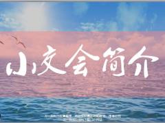 小交会简介蓄客突破认知明确标准严格把控22页.pptx
