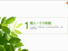 夏日绿叶演示模板24页.pptx