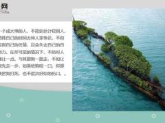 每日鸡汤励志人生成功没有捷径脚踏实地一步一个脚印.zip