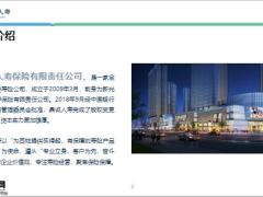 鼎诚人寿公司介绍股东董事长高管介绍产品形态15页.pptx