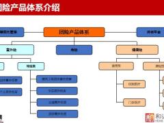 和谐健康保险团险基础知识24页.pptx