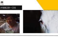 每日快乐早会20年8月19日使用12页.ppt