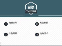 华夏玩转如意来鑫享版背景介绍产品回顾案例解析销售话术33页.pptx