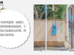 每日鸡汤励志人生不勇敢没人替你坚强.zip