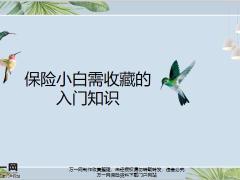 保险小白需收藏的入门知识15页.pptx