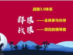 战狼团战狼体系参伙伴项目的领导者25页.pptx