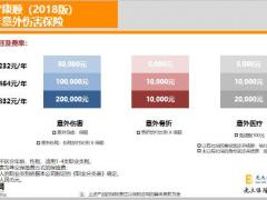 光大永明永宁康顺2020版老年意外伤害保险17页.pptx