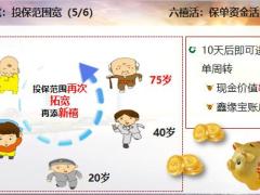 国寿银保鑫禧宝产品介绍及销售逻辑19页.pptx