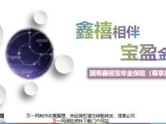 国寿银保鑫禧宝年金保险尊享版含备注25页.pptx