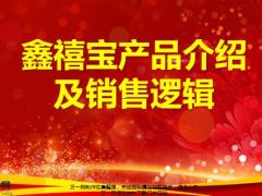 国寿银保鑫禧宝产品介绍及销售逻辑13页.pptx