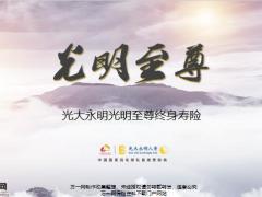 光大永明光明至尊终身寿险产品特色责任投保规则核保亮点含备注21页.pptx