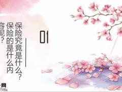 如何购买保险才能不吃亏呢14页.pptx