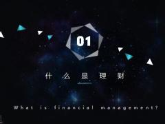 保险家庭理财的必需品25页.pptx
