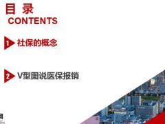 社保V型图讲解逻辑概念医保报销16页.pptx