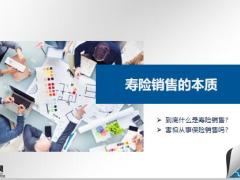 寿险销售的本质魅力销售流程28页.pptx