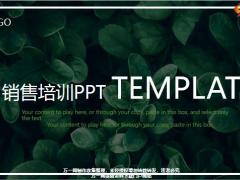 销售培训PPT模板24页.pptx