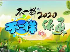 泰康人寿不一样的2020不一样的绿通22页.pptx