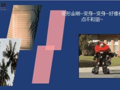 每日快乐早会20年9月3日使用12页.ppt