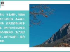 每日鸡汤只有当你足够努力你才会足够幸运.zip