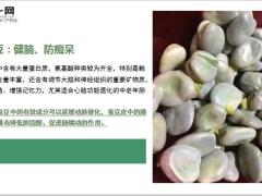 每日健康夏吃豆胜吃肉这5种豆跟夏天是绝配你吃对了吗12页.ppt