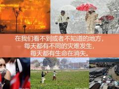 健康是你的特权31页.pptx