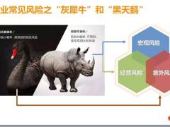 如何用保险构筑家庭企业资产防火墙34页.pptx