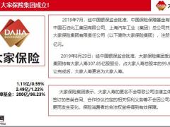 大家久安19终身寿险产品要素投保案例解析19页.pptx