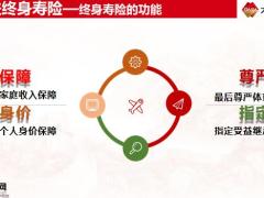 大家久安19终身寿险定义功能变革投保规则特色形态34页.pptx
