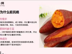 每日健康抗癌要吃它降血糖要吃它预防心脑血管疾病更要吃它8页.ppt