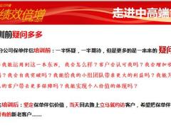 短期绩效倍增项目素材保单伴侣的力量19页.pptx
