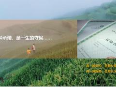 国寿保单服务专员招募宣导54页.pptx