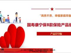 国寿康宁保B款保险产品组合宣导版13页.pptx
