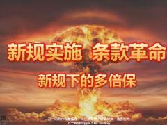 新华人寿新规下的多倍保19页.pptx