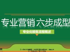 专业营销六步成型专业化销售流程简述72页.pptx