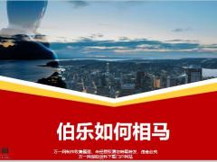 从个体性格经济层面从客户中增员20页.pptx